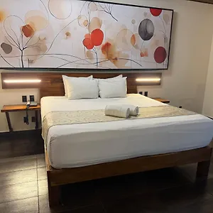 **** Otel Kavia 5th Avenida (adults Only) Meksika